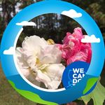 Karen White Atchley - @bkatchley - Instagram