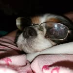 Karen Auer - @karen_auer - Instagram