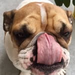 Karen Bachmann - @karenbachmann - Instagram