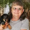 daisy - @karenballinger2 - TikTok