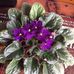 Karen Barter - Facebook