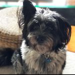 Karen Barter - @bobbi_boy16 - Instagram