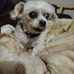 Karen Baumgartner - Facebook