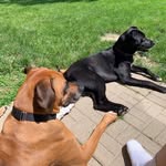 Karen Baumgartner - @baumgartner1634 - Instagram