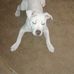 Karen Beyers - Facebook