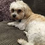 Karen Bebb - @bebbkaren - Instagram