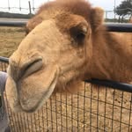 Karen Bebbington - @bebbington.karen - Instagram