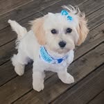 Karen Bednar - @karenbednar1965 - Instagram