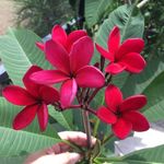 Karen Koeller Bednar - @kmbednar53 - Instagram