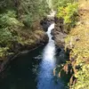 Karen Begg645 - @karenbegg1 - TikTok