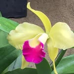 Karen Bender - @kabender65 - Instagram