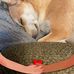 Karen Berkowitz - Facebook