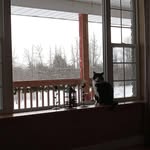 Karen Bernhardt - @karen.bernhardt.9803 - Instagram