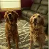 karenbernhard2 - @karenbernhard2 - TikTok