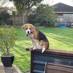 Karen Bevan - Facebook