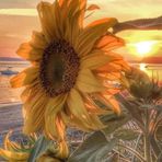 Karen Bickers - Facebook