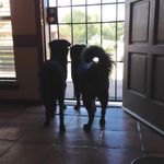 Karen Bickers - @karenbickers - Instagram