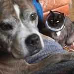 Karen Biggins - @bigginskaren - Instagram