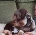 Karen Biggs - Facebook