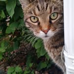 Karen Blaser - @blaser54313 - Instagram