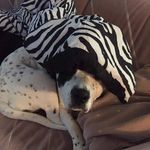 Karen Bohm - @k.bohm27 - Instagram