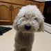 Karen Boring - Facebook