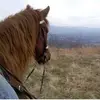 karenboring725 - @karenboring725 - TikTok