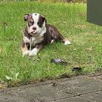 Karen Bose - @karen.bose.982 - Instagram