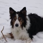 Karen Boseley - @karenboseley - Instagram
