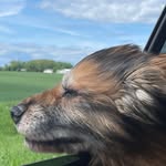 Karen Botti Meller - @bottimeller - Instagram