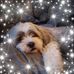 Karen Boudreau - Facebook