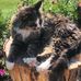 Karen Boudreau - Facebook