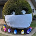 Karen Brigham - @brigham549 - Instagram