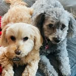 Karen broadhurst - @karenbroadhurst63 - Instagram