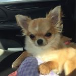 Karen Brosius - @karen.brosius.581 - Instagram