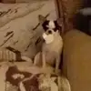 Karen Brosius - @karen.brosius4 - TikTok
