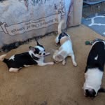 Karen Brosius - @brosius116 - Instagram