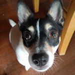 Karen Burchell - @karenburchell - Instagram