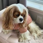 Karen Button - @karenbutton77 - Instagram