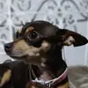 karenestefaniceja - @karenestefaniceja - TikTok