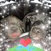 Karen Certain - Facebook