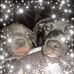 Karen Certain - Facebook
