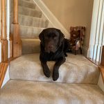 Karen Chaffee - @karen.chaffee.83 - Instagram