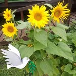 Karen Chaisson - @kare.nch57 - Instagram