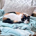 Karen Chartier - @pebblesolympia - Instagram