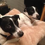 Karen Cheetham - @kaz_l_c_ - Instagram