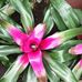 Karen Chenault - Facebook
