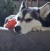 Karen Cheney - Facebook