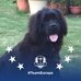 Karen Chenoweth - Facebook
