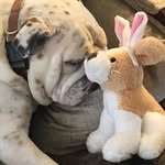 Karen Childress Clardy - @karenchildressclardy - Instagram